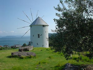道の駅　小豆島オリーブ公園