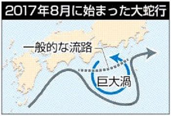 考察 駿河湾内のイカ不漁について 駿河湾の釣り人日誌 楽天ブログ