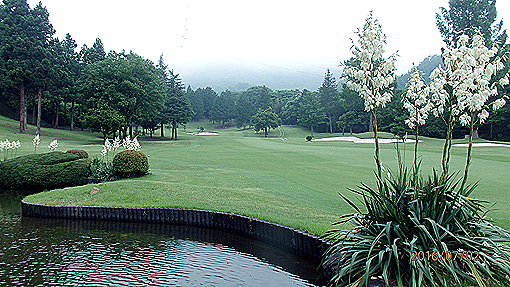 P7023939h3.jpg