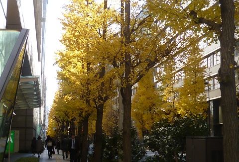 P1270911画像1.jpg