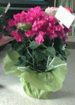 20120513104011.jpg