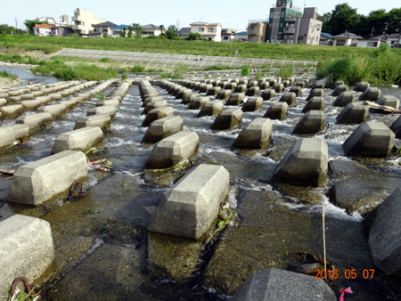 魚道２.jpg