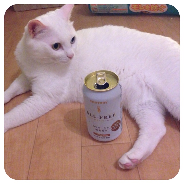 rblog-20130613164840-00.jpg