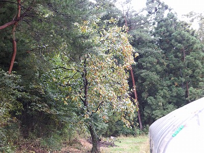 DSCF8666.jpg
