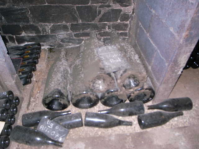 RIMG22282.JPG