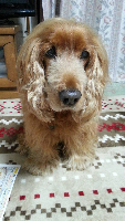 rblog-20140218000949-00.png