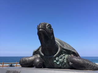 image5.jpg