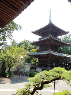 DSCN8796s.jpg