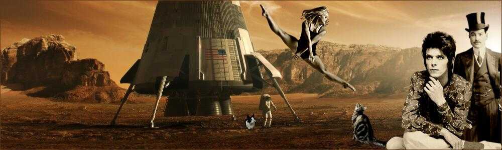 耳（ミミ）とチャッピの布団