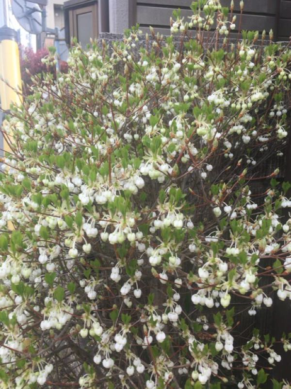 rblog-20160410140732-01.jpg