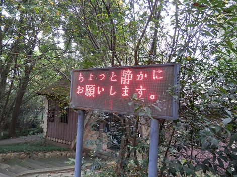 PA010063000.jpg