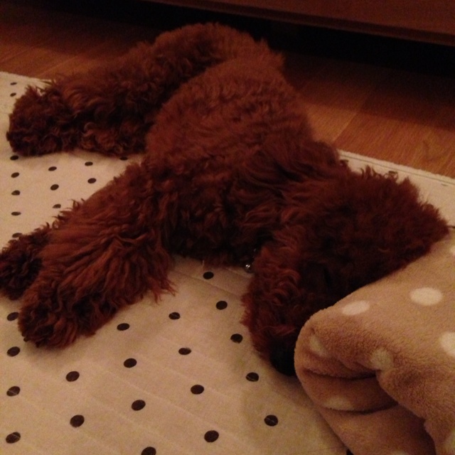 rblog-20130701075727-00.jpg