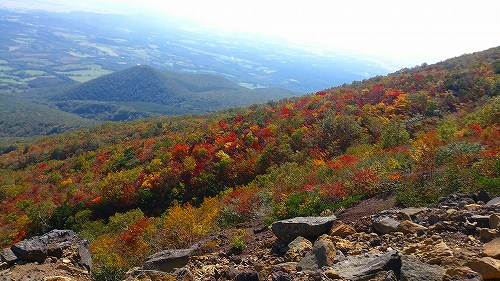 s-20140927岩手山紅葉下界.jpg