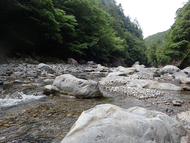 resize0020.jpg