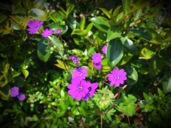 rblog-20160430164719-01.jpg