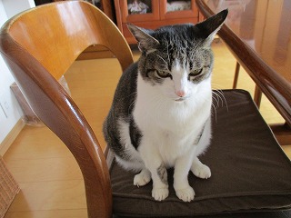 IMG_0703ss.jpg