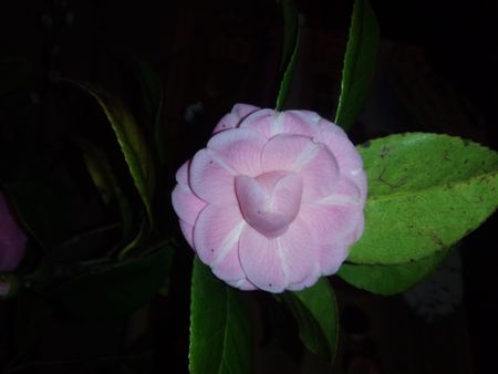 IMG_20150325_183044-p.jpg