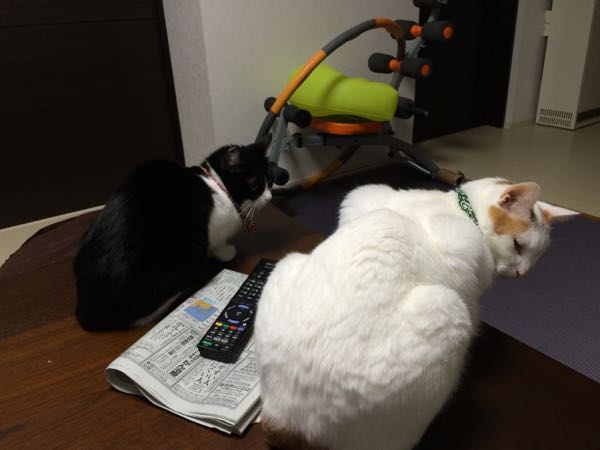 rblog-20150606063641-05.jpg