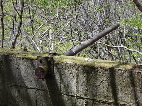 DSC05342.JPG