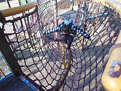 conv0287.JPG
