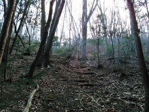 20150125蕃山3山登る.jpg