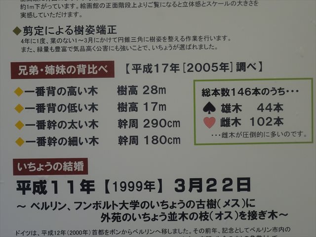 DSC07847_R.JPG