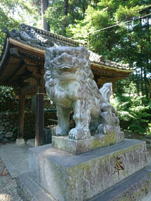 rblog-20180708235905-07.jpg