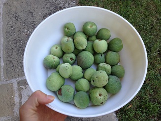 p boke fruits 2.jpg