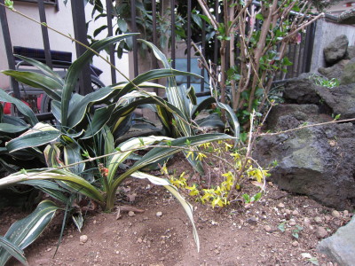 20120403b
