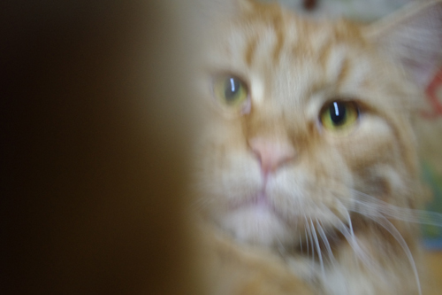 IMGP1322.JPG