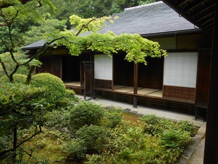 大徳寺　高桐院