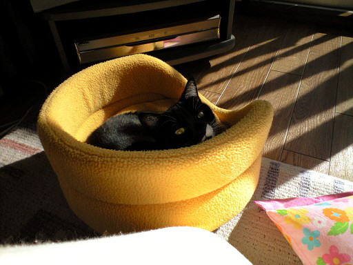 No394-005