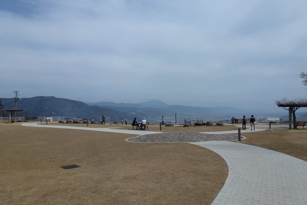P10204061.jpg
