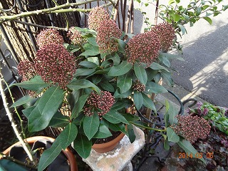 DSC04521.jpg