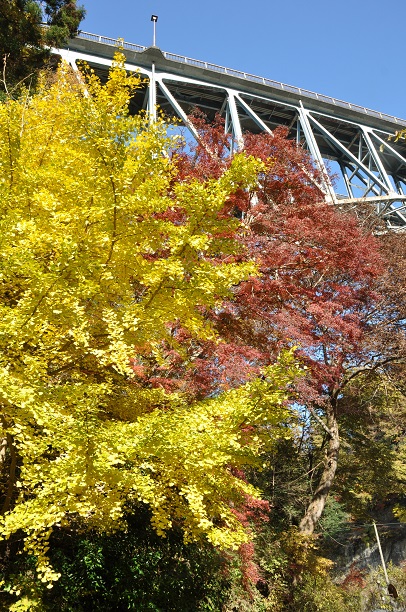 荒川キャンプ場