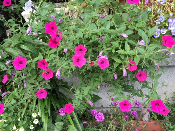 rblog-20160630184304-08.jpg