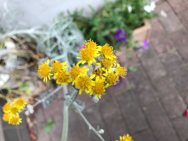 rblog-20180628165323-01.jpg