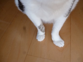 P1300269ss.jpg