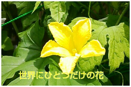rblog-20160802230851-00.jpg