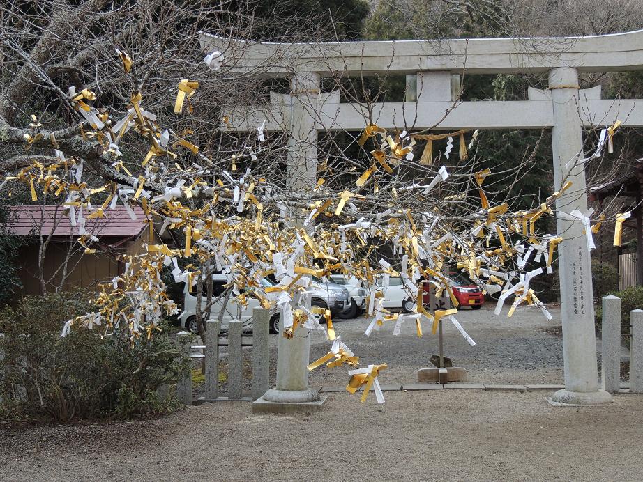 2013.1.7 金蛇水神社 010.JPG