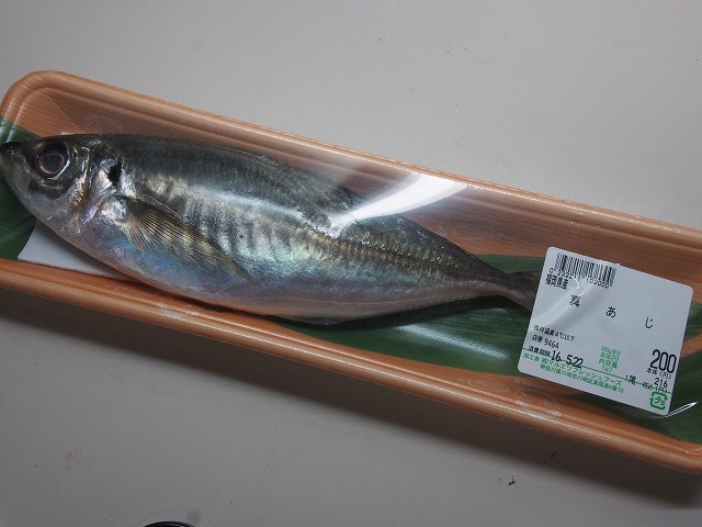 P5210008.jpg