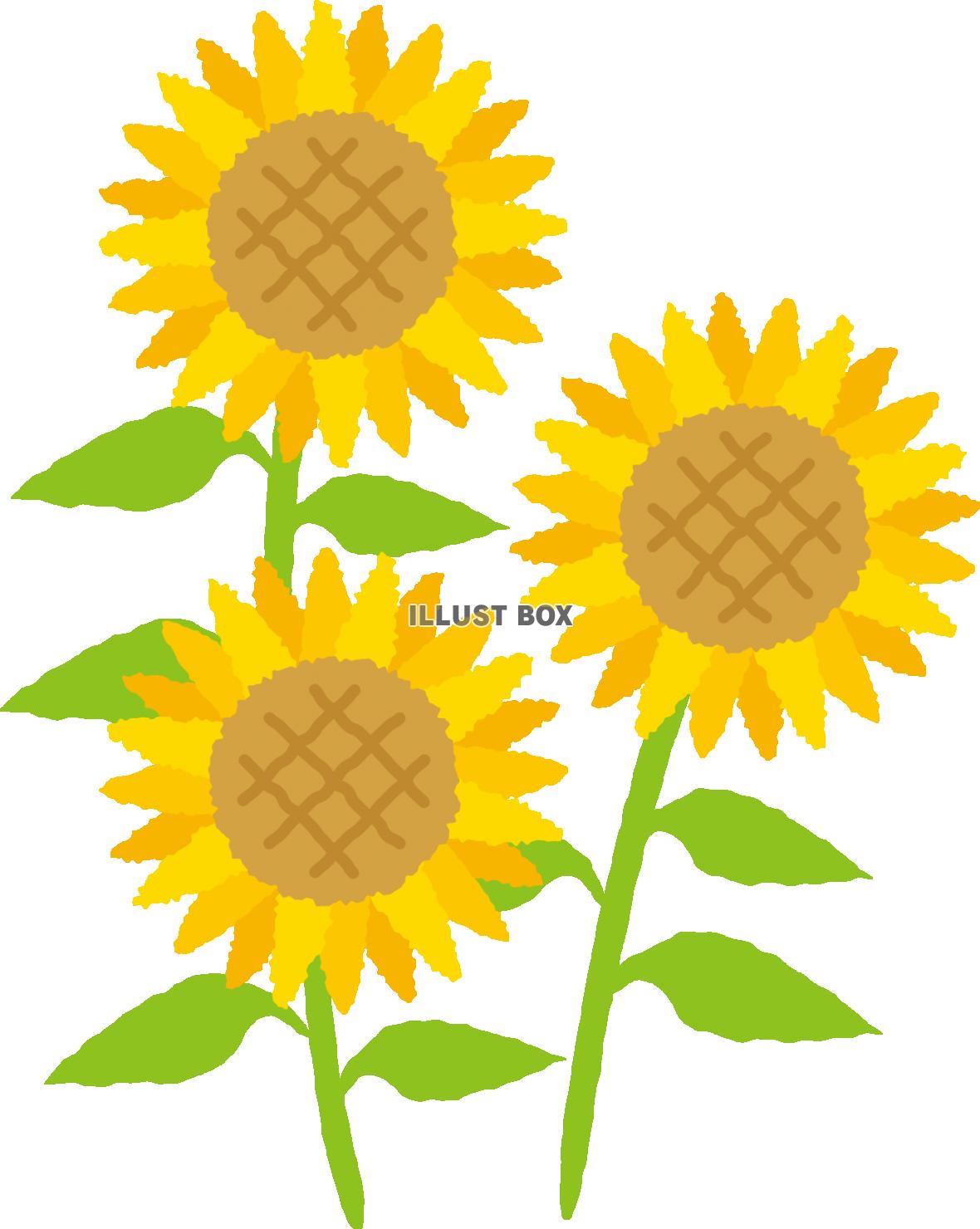 英語学習 Eddieの英語を頑張るブログ 楽天ブログ