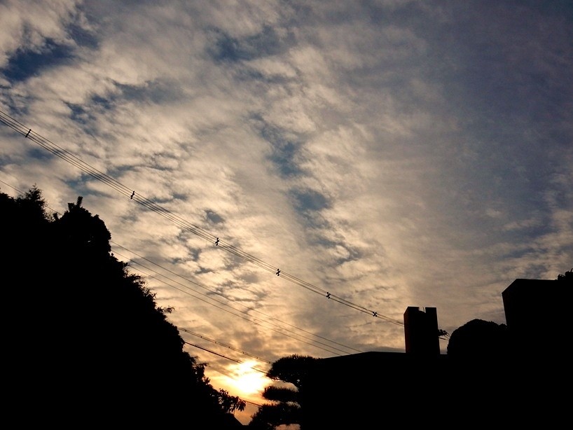 夕暮れ3.JPG