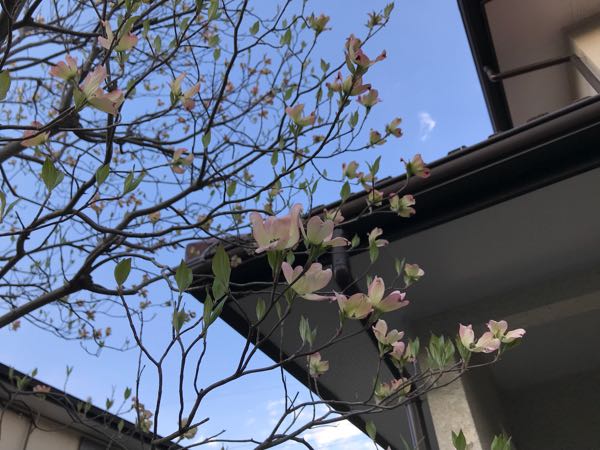 rblog-20180408180536-02.jpg