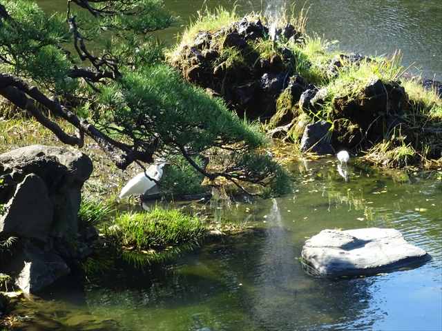 DSC07629_R.JPG