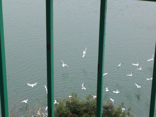 2012-04-14 00:18:51