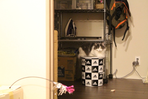 mumu1.JPG