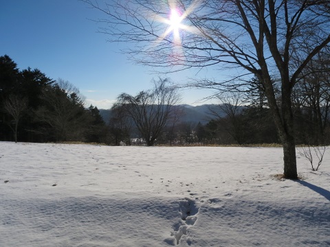 140204-99.jpg