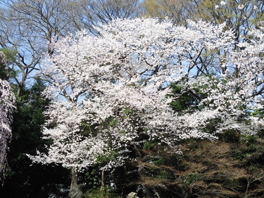 靖國神社