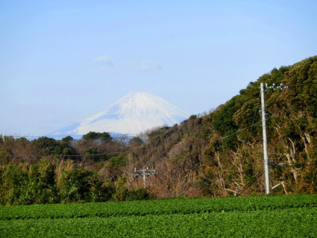 三浦七福神めぐり２０１４０１０６　金田　からバスで毘沙門入口で降りて　畑の中を歩き　撮影　の富士山
